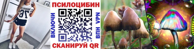 продажа наркотиков  Нефтегорск  Псилоцибиновые грибы ЛСД 